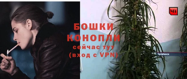 первитин Ладушкин