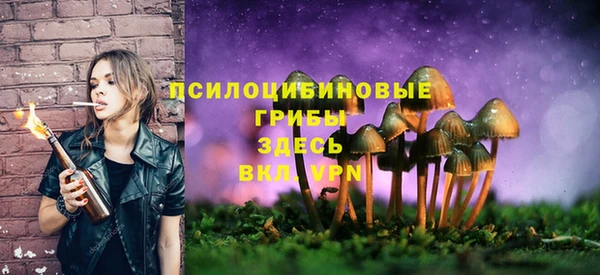 MESCALINE Кулебаки